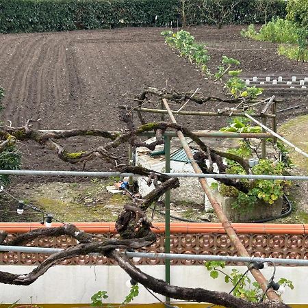 Apartamento Casinha da Avó Rosário Juncal  Exterior foto