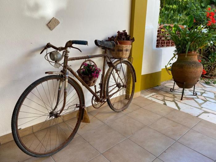 Apartamento Casinha da Avó Rosário Juncal  Exterior foto